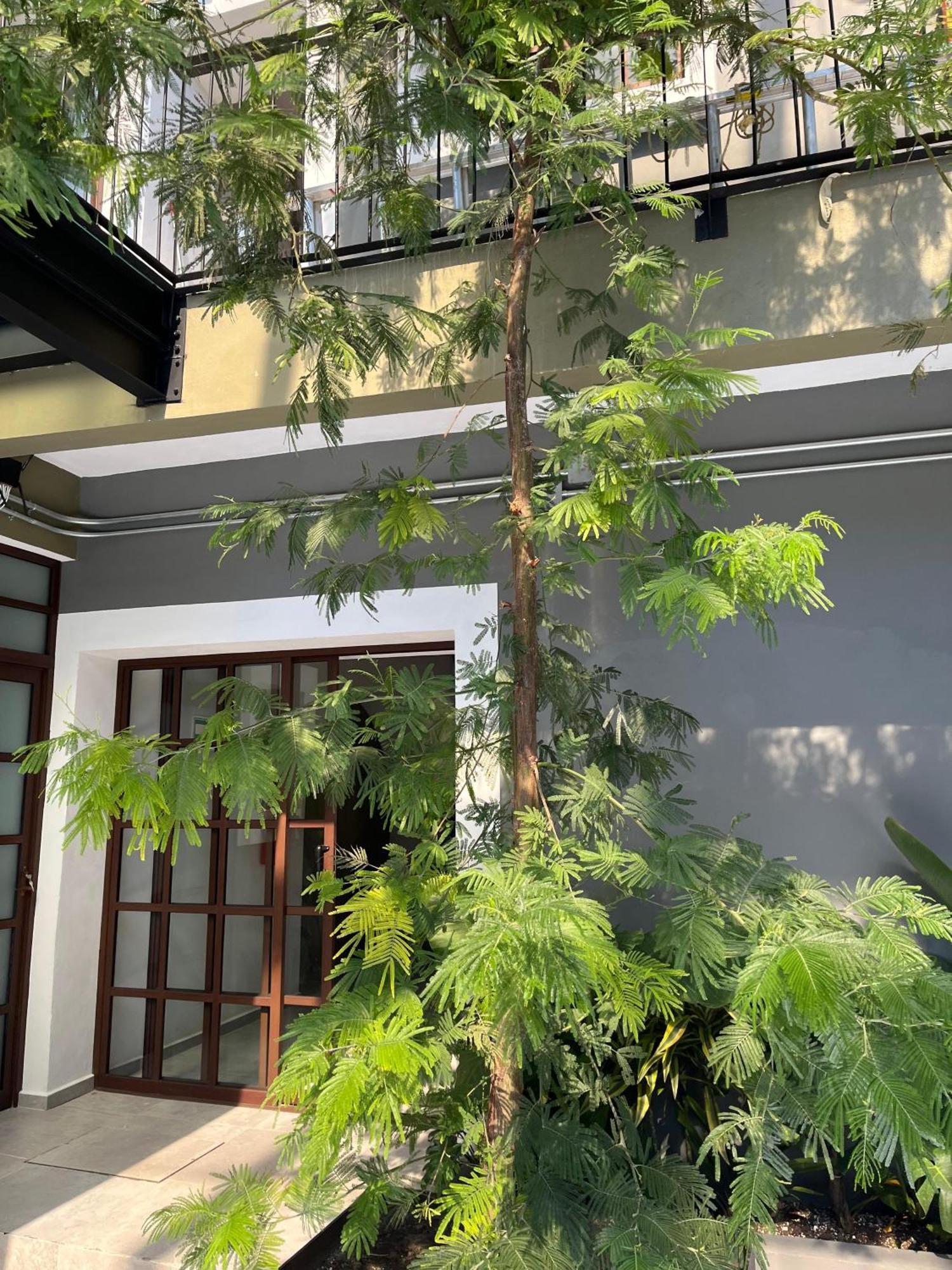 Eonia Atlixco Exterior foto